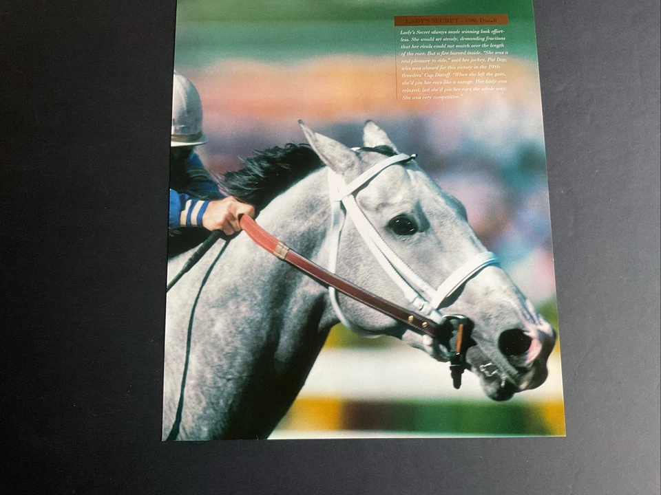 FOTO HEADSHOT LADY’S SECRET 10 X 12 Corrida de Cavalos 1986 BREEDERS CUP DISTAFF - Imagem 2 de 2