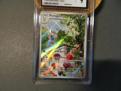 Floragato 197/193 Illustration Rare Paldea Evolved 2023 Pokémon TCG CGC 9 Mint