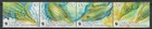 Vanuatu 2013 WWF Fauna Wildlife Marinelife Fisch Fish Filefish compl set MNH