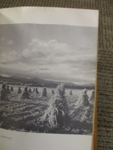 The New England Yankee Cookbook by Imogene Wolcott, 1939 Edition Hardcover - Picture 11 of 13