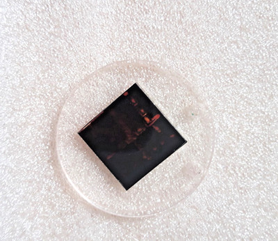 Harmony Evolution Pendant, 1x Universal-Chip, Heilenergetik