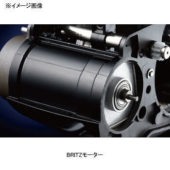 Daiwa LEOBRITZ S500 Fishing Electric Reel From Japan New