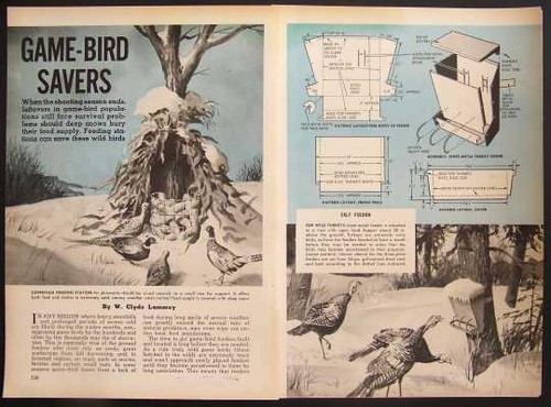 Game Bird Feeders How-To build PLANS 2 Designs Turkey Quail +