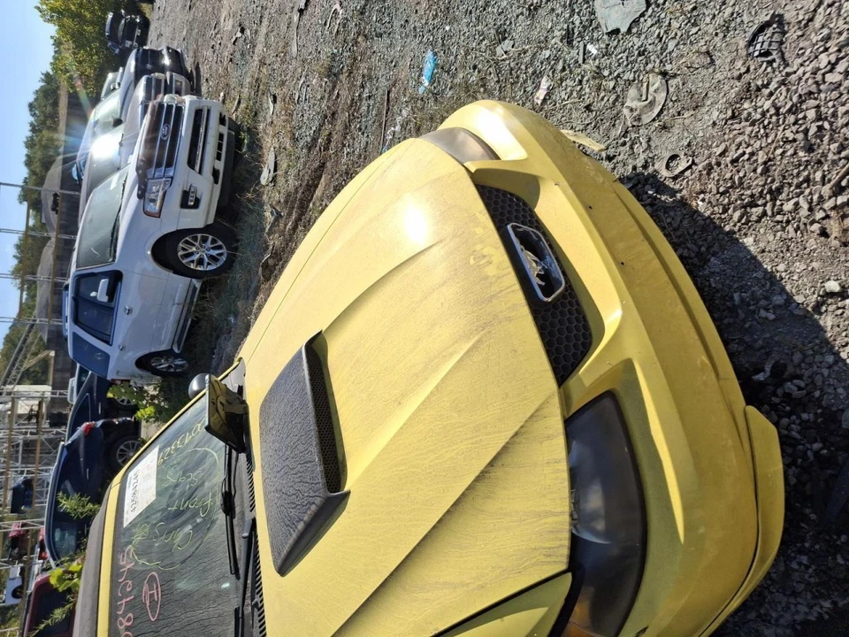 2001 Ford Mustang Grille V6 OEM Used 104-01640 2DR Conv Yellow 96K Miles - Image 2 of 4