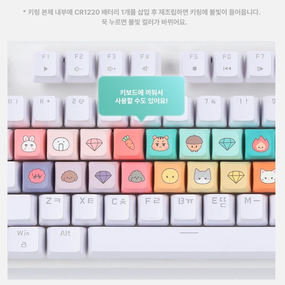 SHINEE 2025 SHINee WORLD Ⅶ E.S.S.A.Y OFFICIAL GOODS MD KEY CAP