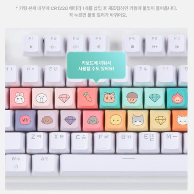 SHINEE 2025 SHINee WORLD Ⅶ E.S.S.A.Y OFFICIAL GOODS MD KEY CAP