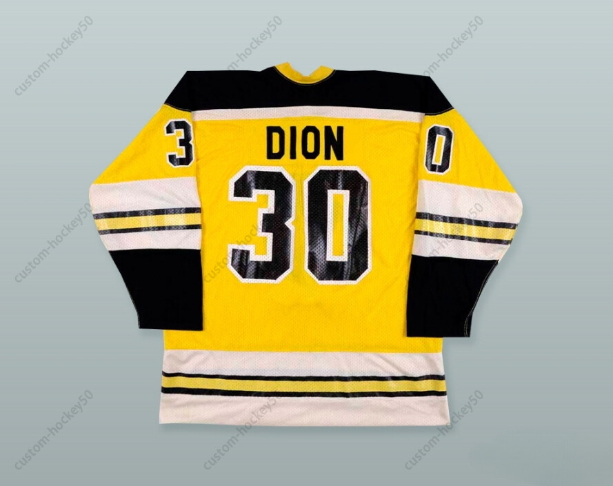 CUSTOM WHA MICHEL DION 30 STINGERS HOCKEY JERSEY Top Stitched S-6XL