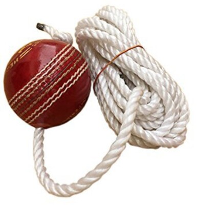 Cricket Leather Hanging Ball Knocking Ball for Practice