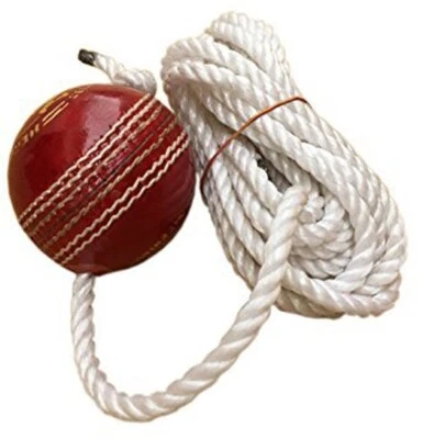 Cricket Leder hängender Ball Klopfball zum Üben - Bild 1 von 3