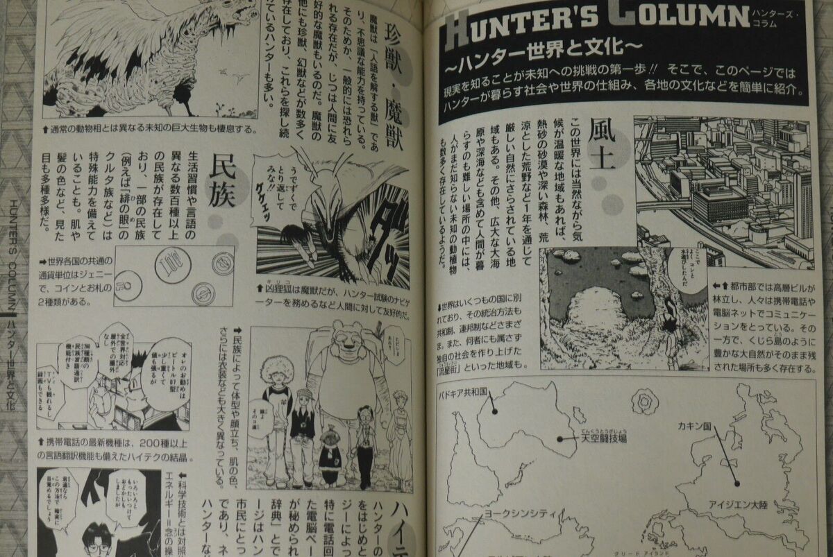 Exame Hunter 287, Hunter × Hunter Book!