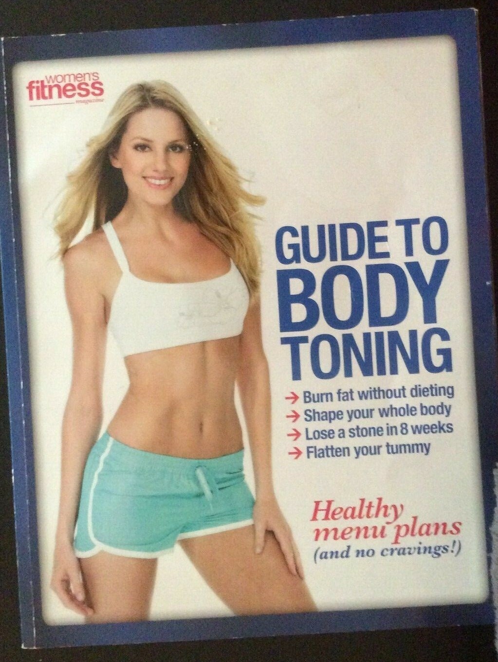 Guide To Body Toning Paperback.  Burn Fat Without Dieting, Healthy Menu Plans