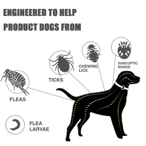 Pet Supplies Adjustable Dogs Collar Flea And Tick Collar Cats Insect Repellent - Picture 2 of 15
