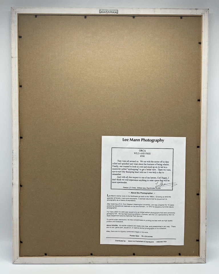 Lee Mann Photography Orca Wild and Free 18 x 24 Signed Framed PNW Whale Print - Image 4 of 4