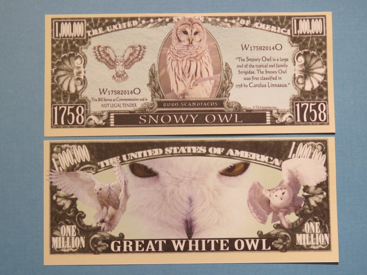 Is There An Owl On The One Dollar Bill