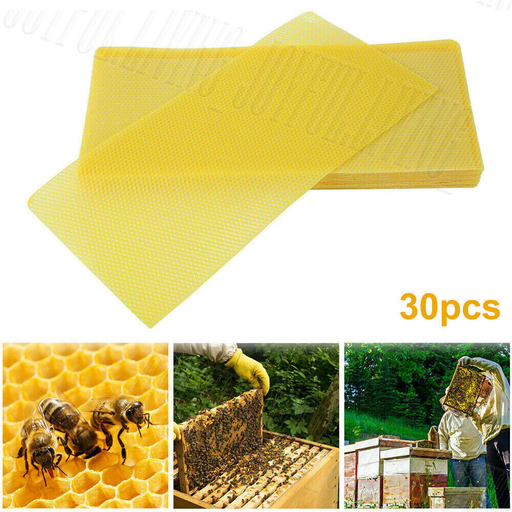 30Pcs Foundation Bee Hive Wax Frames Waxing Beekeeping