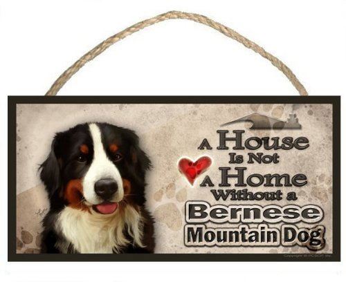 bernese mountain dog items