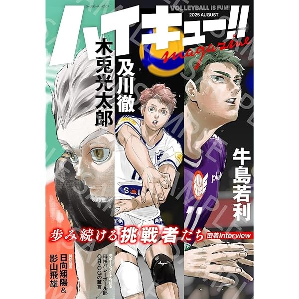 Haikyu!! magazine 2025 AUGUST Special poster Card sticker Manga Anime Japan FS