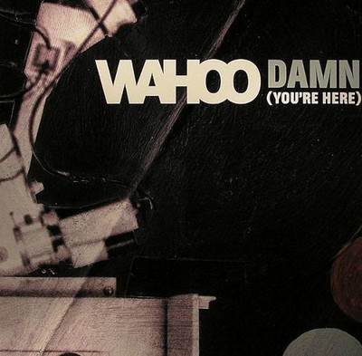 Wahoo - Damn (You'Re Here) - UK 12'' Vinyl - 2007 - Fine Music