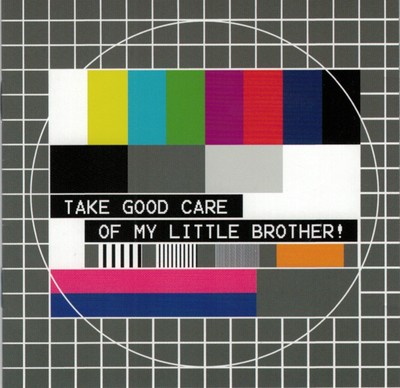 TAKE GOOD CARE OF MY LITTLE BROTHER Sampler CD (2006 Audio Terror) German Punk