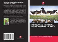 ModelaÇÃO NumÉRica DE UM Sistema DE Rega Herilalaina Olivier Andriantsoa Buch