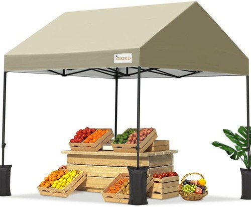 KING BIRD 10x10 Pop up Canopy Tent 