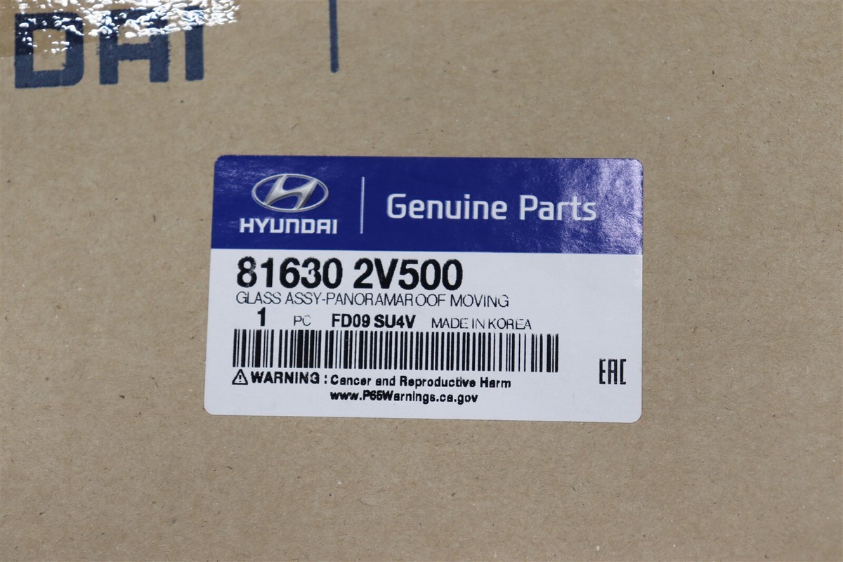 ほの NEW OEM Panoramic Sunroof Glass 816302V500 for Hyundai