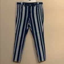 BLANKNYC The Bond Pinstripe Mid-Rise Skinny Jeans NWOT Size 30 Blue and White