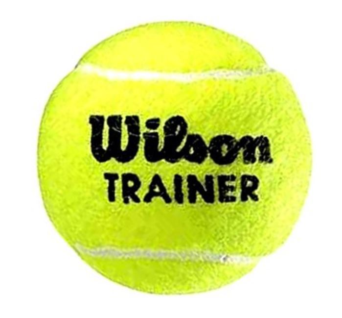 Wilson TRAINER x 60 palle da tennis Wilson TRAINER x 60 palle da tennis