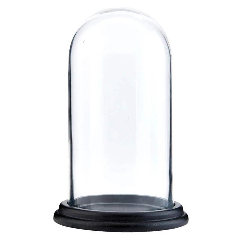 Glass Display Cloche Bell Jar Dome Flower Preservation Vase Black Wood Base 19cm
Opens in a new wind