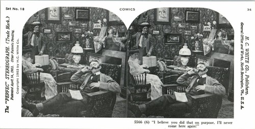 Fumetto Friendly Gathering "Credo che tu l'abbia fatto apposta". Stereoview 11-61 - Foto 2 di 3