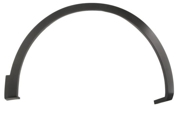 Right Front BLIC 5703-08-6090376P Trim/Protection Strip, wing for RENAULT