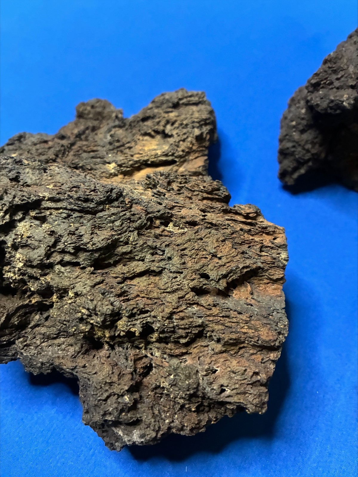 Aquarium Lava Stone Aquascape Terrarium  5 Pieces 7.7lbs