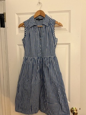French Connection Sleeveless Blue Gingham Dress Size 4 Fit and Flare Picnic
