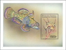 Comores 1999 Dragonet/Fish/Marine/Nature/Wildlife 1v m/s (b7836h)