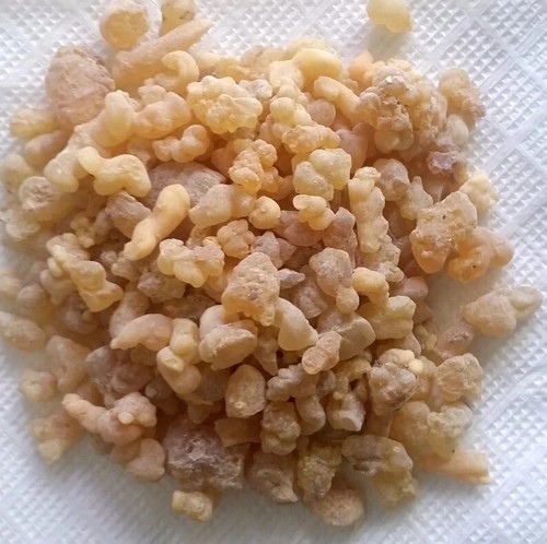 Natural Frankincense Extracted From The Boswellia Tree And Used In Traditional M - 第 1/4 張圖片