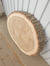 Holzscheibe Eiche ca 50-60cm Baumscheibe Tischplatte 