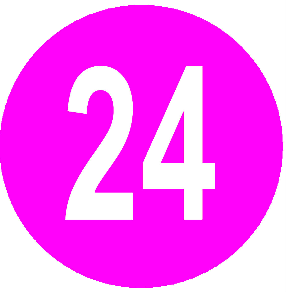 Picture 24 of 25