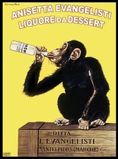 10958.Decoration Poster.Home interior.Wall art decor.Monkey drinking.Mancave art