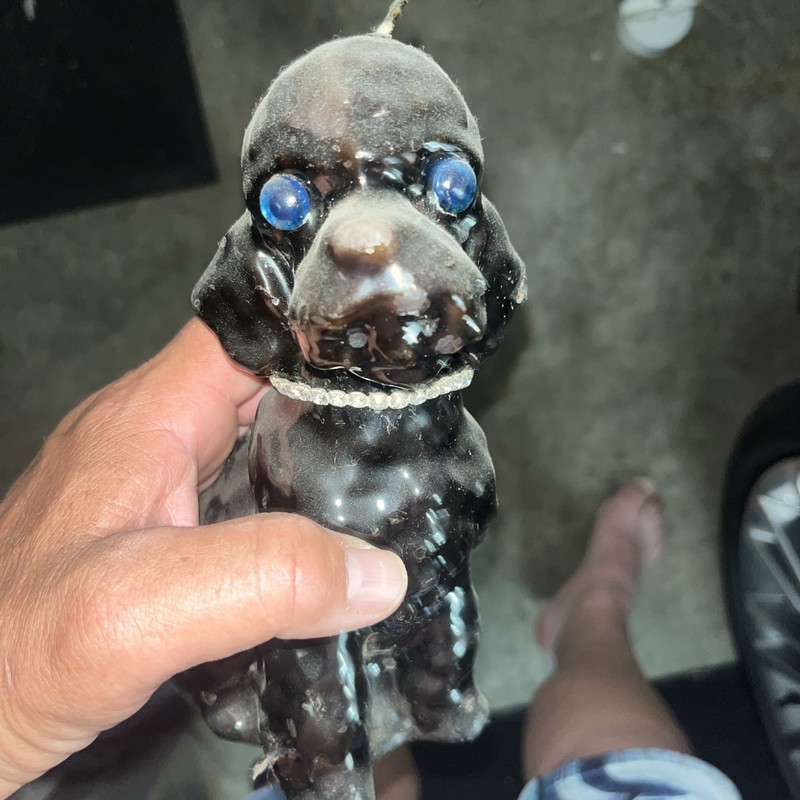Black Poodle Candle, Diamond Necklace, And Blue Eyes