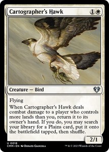 Cartographer's Hawk - 18 - Commander Masters