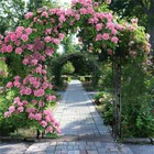 Large Rose Arch Garden Gate Decorative Wedding Arbour Pergola Climbing Trellis