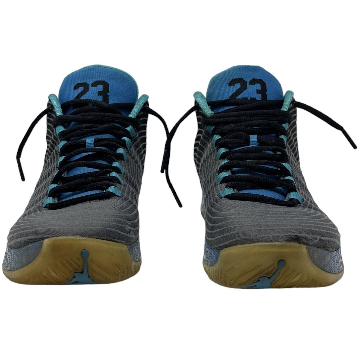 Nike Air Jordan XXIX 29 Playoff Pack Away Black/Blue 749143-014