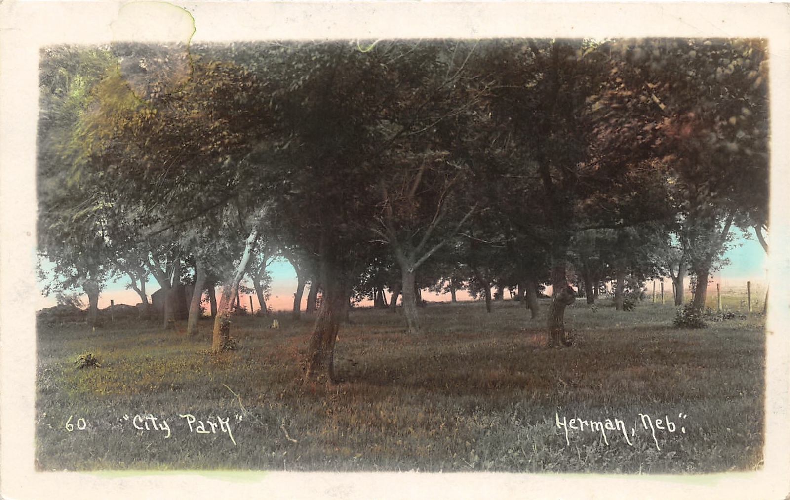 G41/ Herman Nebraska RPPC Postcard c1920s City Park Scene eBay