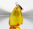 Fossil insect Moth inclusion in Genuine BALTIC AMBER Pendant 925 Sterling Silver
