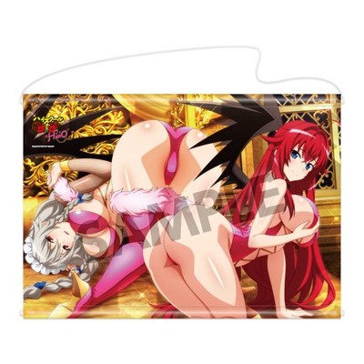 Hobby Stock High School D×D Hero B2 Tapestry Wall Scroll Poster Rias Grayfia