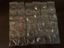 30 Walleye Slow Death Snell Crawler Harness w/Assort Mack’s Smile, Smiley 48”