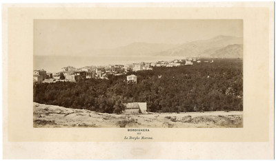 VIABLUE NF-B Subwoofer LFE RCA Interconnect Cable 2.5m