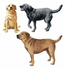 Labrador Dog Stickers Black Golden Lab 25 Wallies Decals Sticker Puppy Dogs Deco