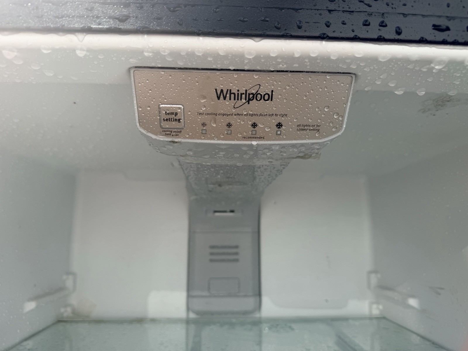 Whirlpool Black Top-Freezer 2-Door Frost-Free Freestanding Refrigerator
