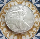 2009 - AMERICAN EAGLE - One Dollar - .999 1oz Fine Silver